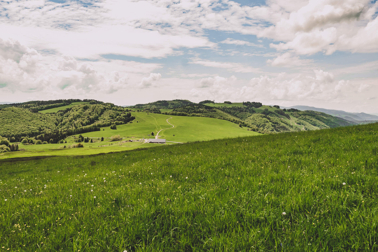 dotkni_sa_slnka_na_pohanskom_5