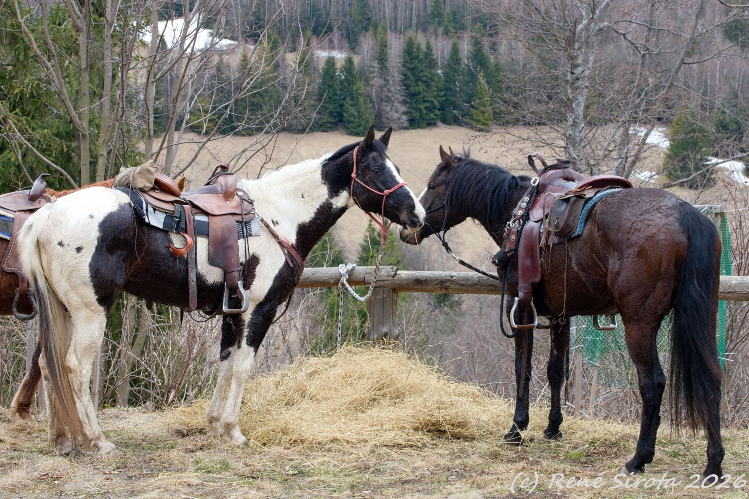 2026_03_26_TS_Huculska_magistrala_projekt_3