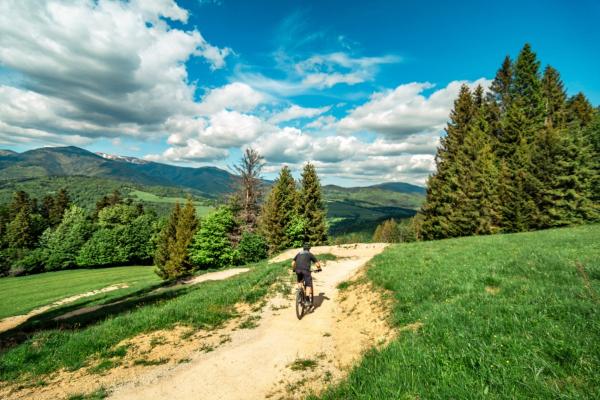 Myto Ski Bike 1