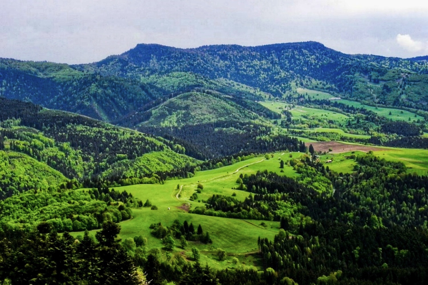 Z Ľubietovej na Hrb